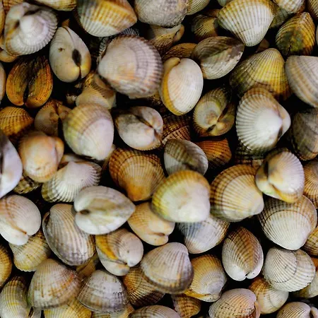 Restaurante Elisardo Hotel