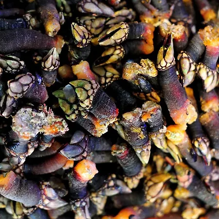 Restaurante Elisardo *