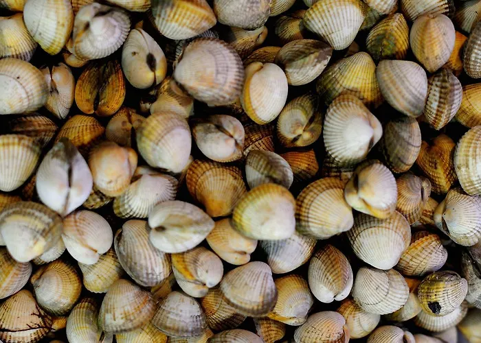 Restaurante Elisardo Hotel