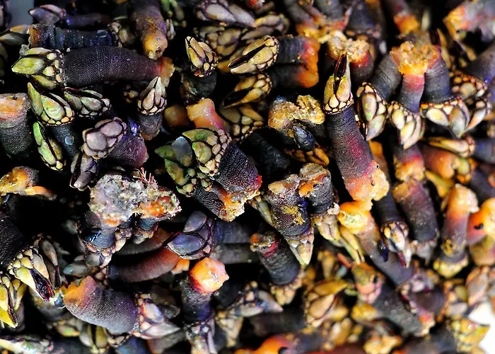 Restaurante Elisardo *